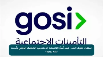 استقرار طويل الأمد.. كيف تُعزّز التأمينات الاجتماعية الاقتصاد الوطني وتُحدث نقلة نوعية؟